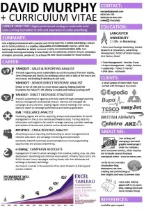 Infographic CV preview