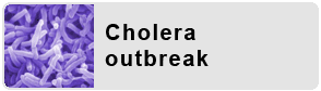 Cholera Outbreak